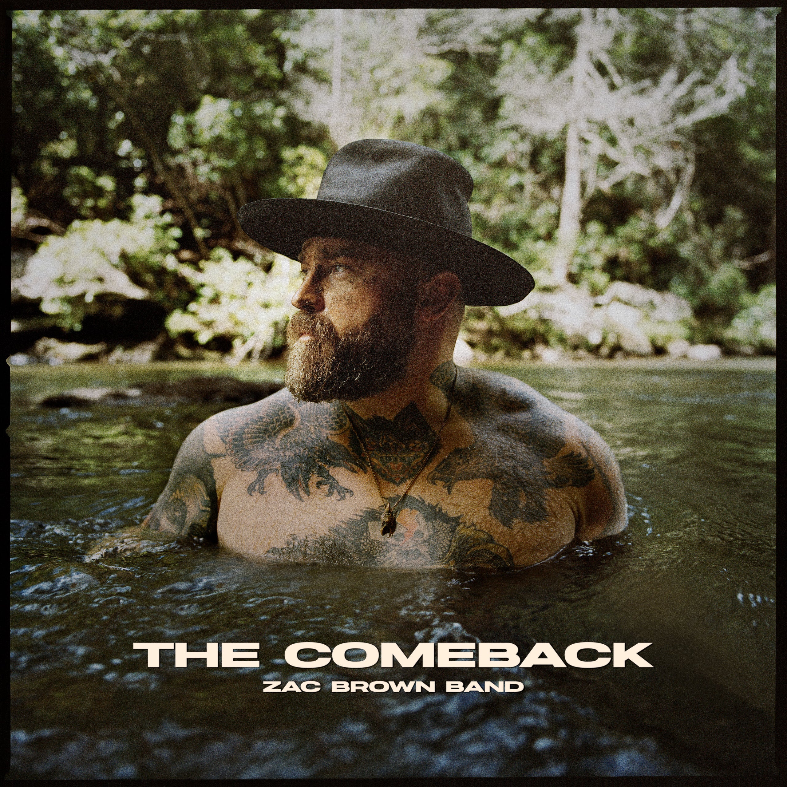 Zac Brown Band The Comeback Double Vinyl LP