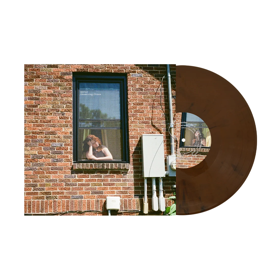 Observing Chaos Floor-board Brown Vinyl LP