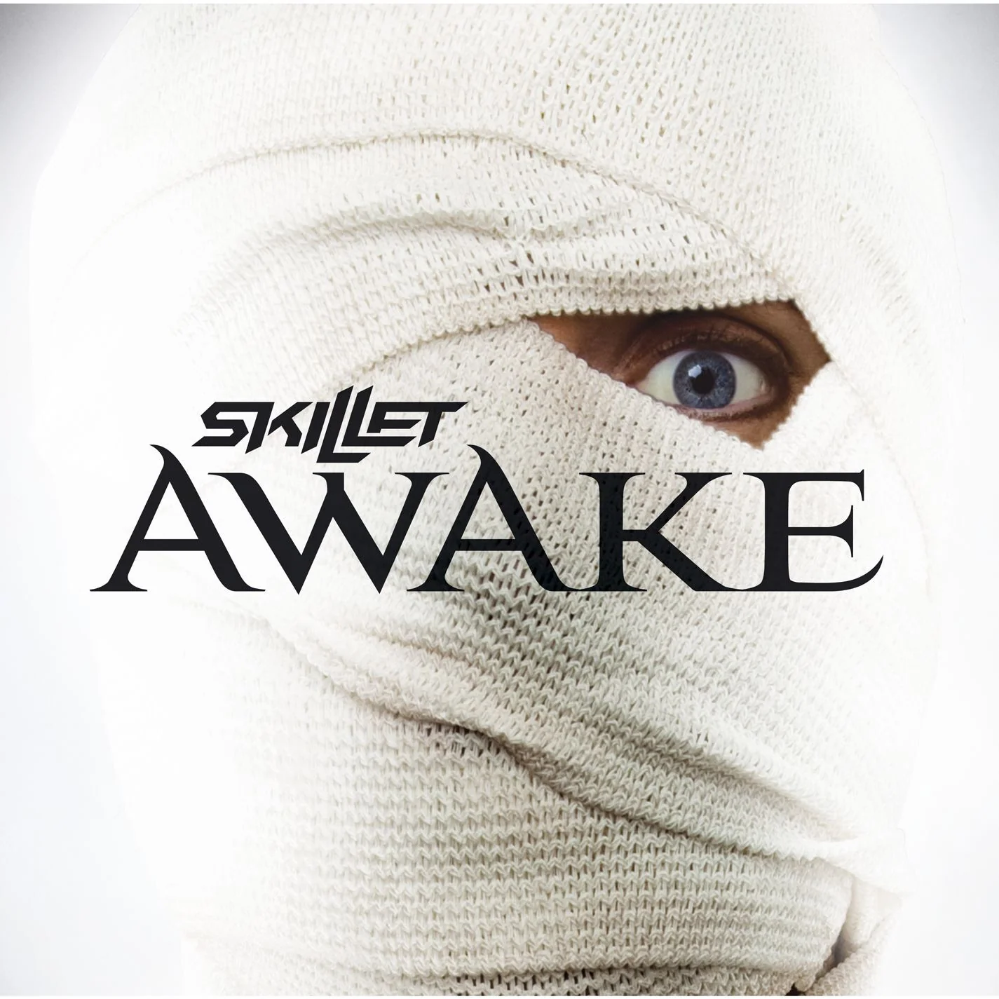 Skillet Awake CD Standard Edition with 12 Tracks