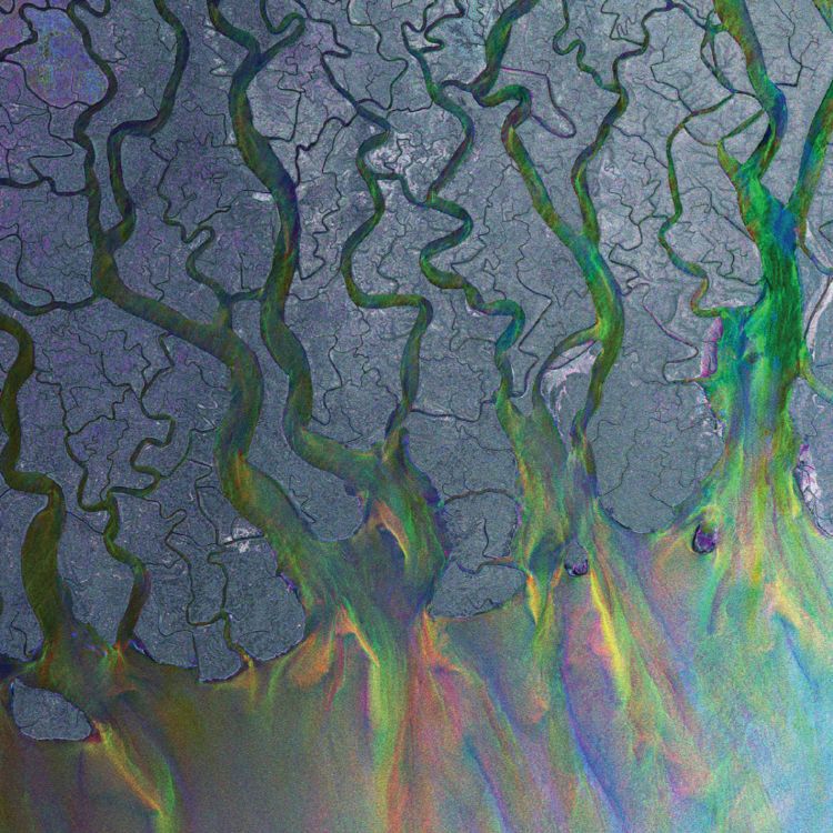 Alt-J An Awesome Wave CD With 13 Tracks