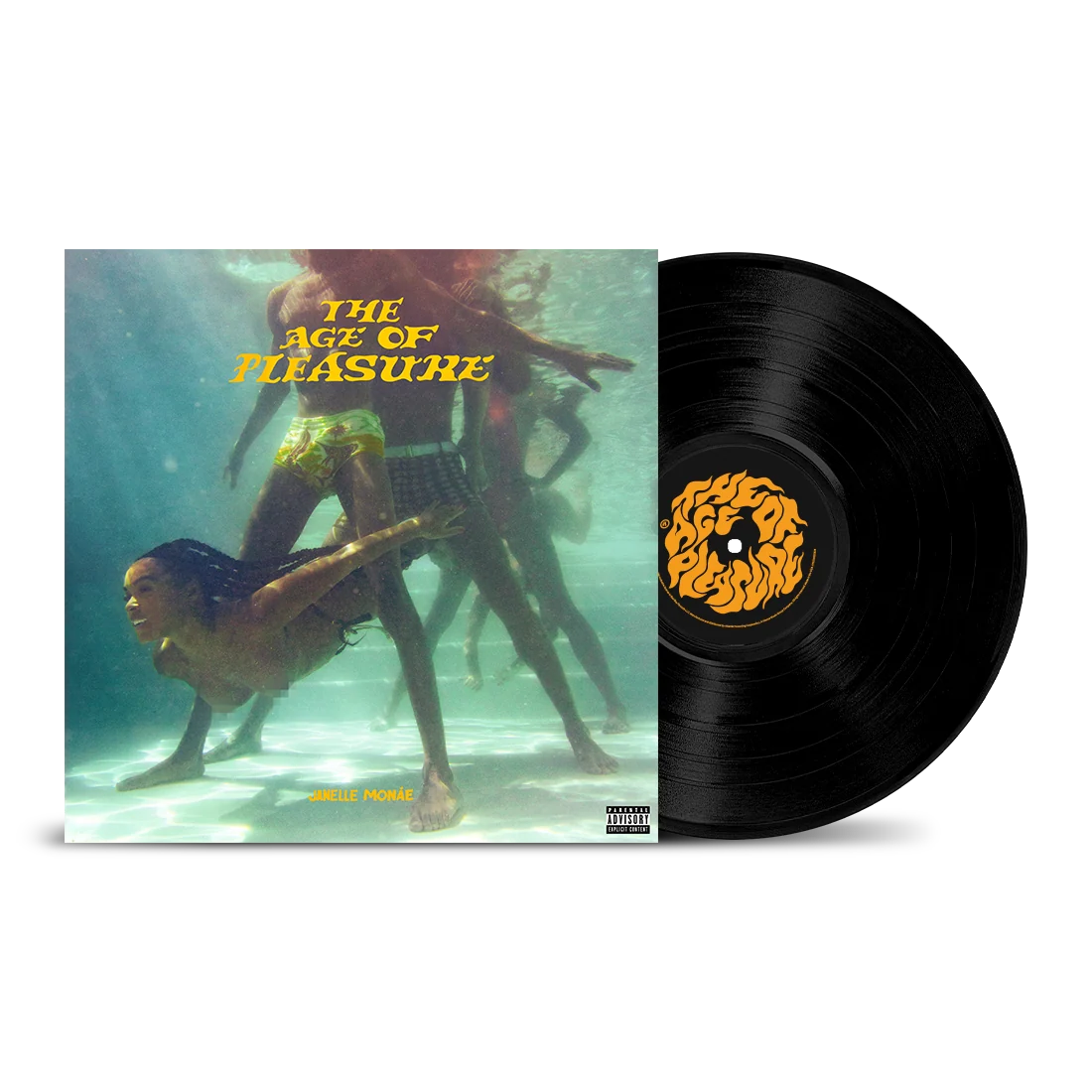 The Age of Pleasure 黑胶唱片（替代封面，Black 12 Inch）