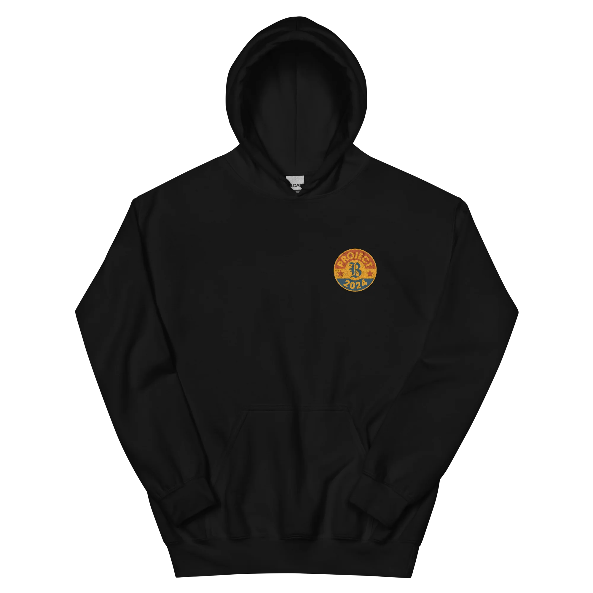 Project 2024 Hoodie