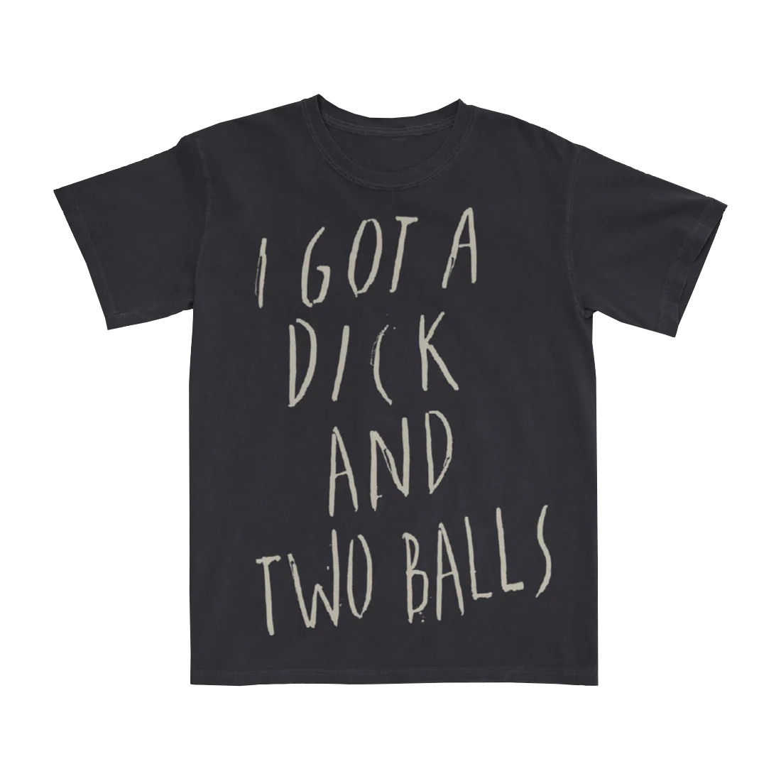 Iggy Pop EVERY LOSER Lyric Tee Black Unisex Shirt